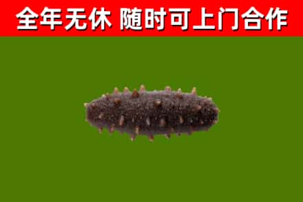 湘潭烟酒回收干海参.jpg